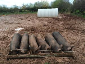 2014-11-13-all-quiet