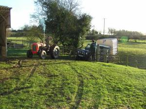 2015-01-06-moving-weaners