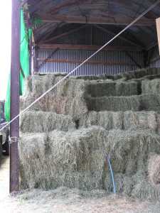 Hay in the barn