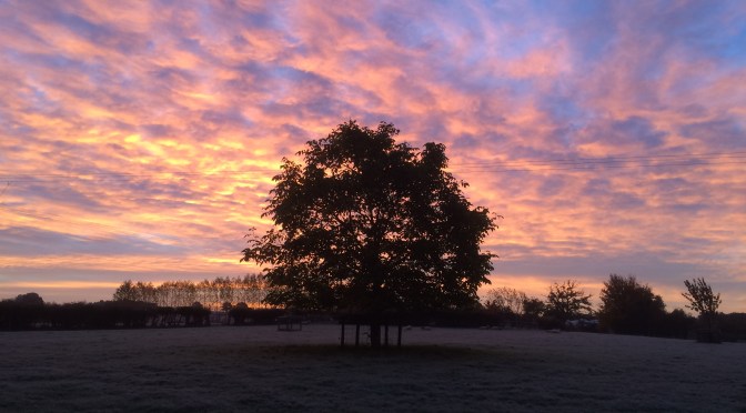 First Frost means Autumn is here