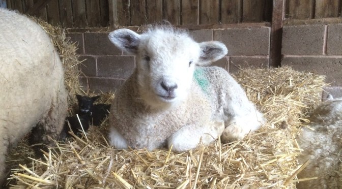 From 6 to 22 in 36 hours