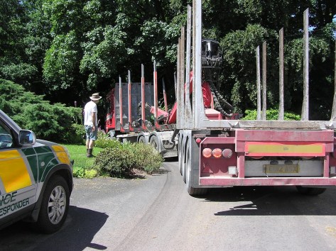 I'm pretty sure you'll make it