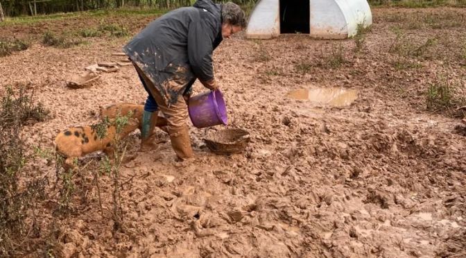 Did I really say it was dry!