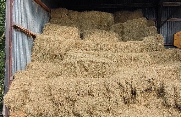 Finally the Hay is in