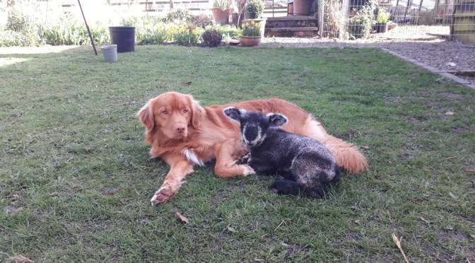 Stig is going to be disappointed