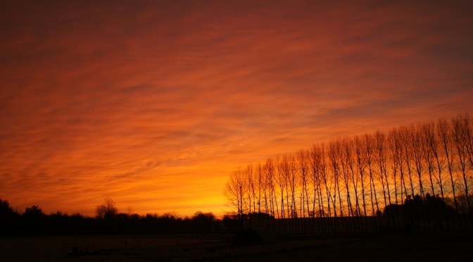 One Advantage of Overnight Lambing