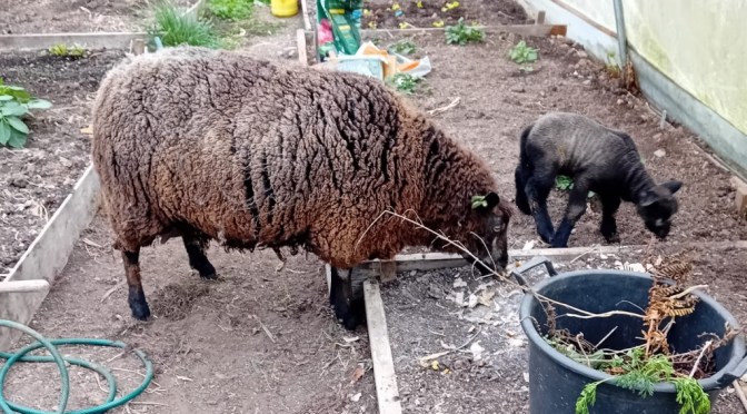 There’s always one!