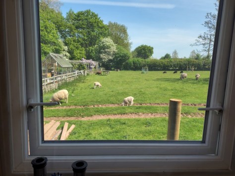 View from the office LOL